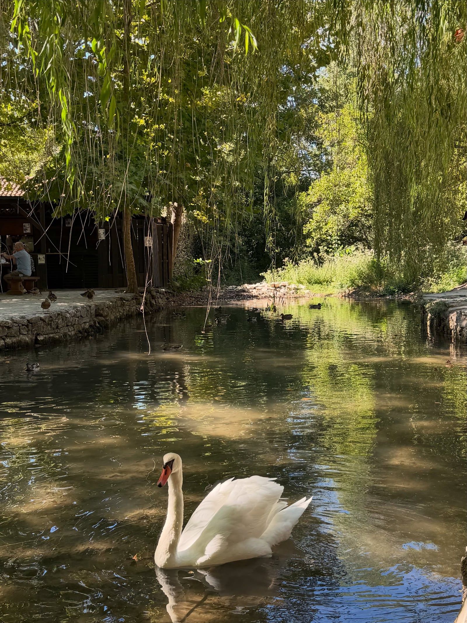 Besucherfoto der Nationalpark Krka Tour